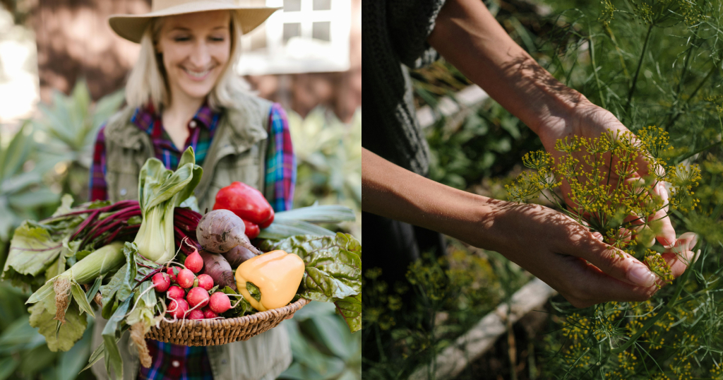 Tuinplezier & koopjes