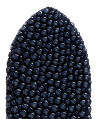leren band Balmoral 14mm donkerblauw geschuurd, volledig gebold