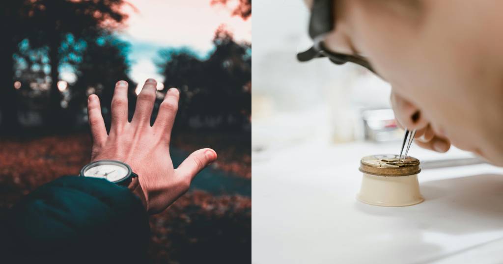 Welcome to the world of Selva