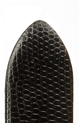 leren band Java 16mm zwart met elegante hagedis print