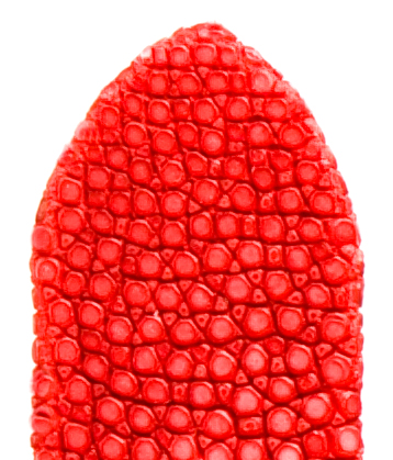 leren band Balmoral 14mm rood geschuurd, volledig gebold