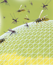 Comprimés de remplacement pour insectifuge Pest Reject Bug Shield
