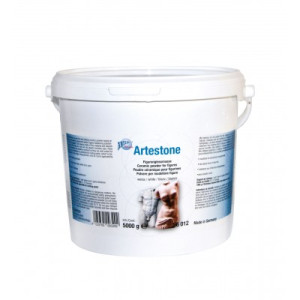 Artestone - figure casting compound white 5000g