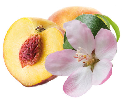 Soap scented oil - set of 3 - cherry blossom, peach, lavender