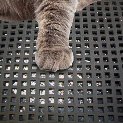 Kattenmat - zo blijft het schoon!