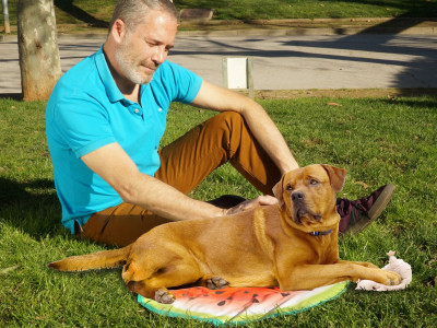Pet Cooling Mat - The self-cooling mat for pets