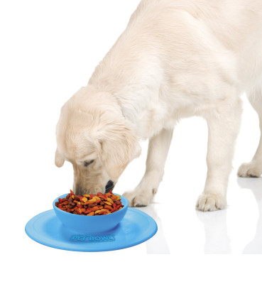 Pet Bowl - De perfecte siliconen voerbak voor uw huisdier
