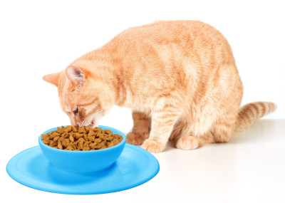 Pet Bowl - The perfect silicone food bowl for your pet