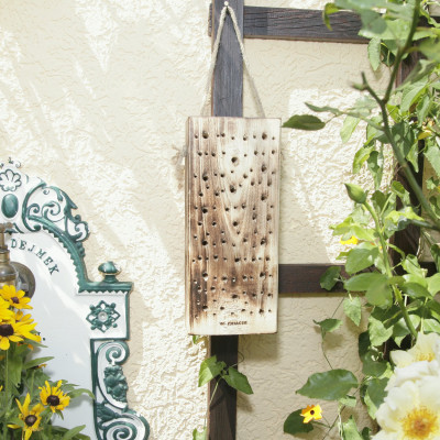 Bois de nid d'abeille de forêt - aide à la nidification pour les abeilles
